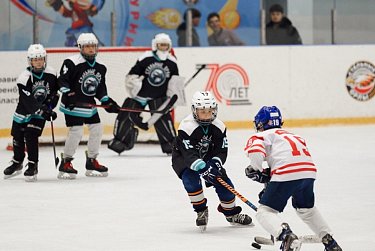 Хоккейный турнир на призы депутата ЗС